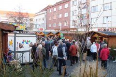 IMG_1035.jpg