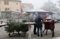 IMG_1115.jpg